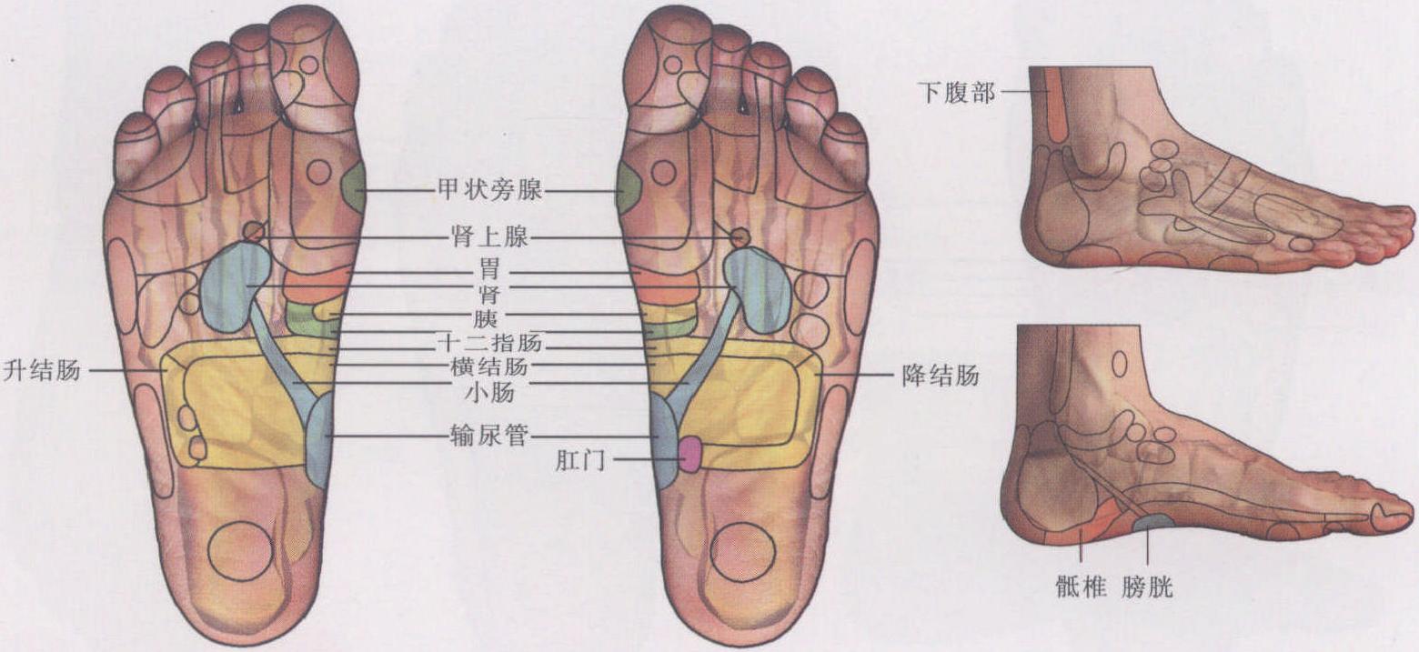 習(xí)慣性便秘